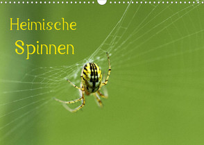 Heimische Spinnen (Wandkalender 2022 DIN A3 quer) von Schäfer,  Otto