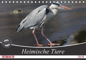 Heimische Tiere (Tischkalender 2018 DIN A5 quer) von SchnelleWelten