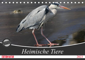 Heimische Tiere (Tischkalender 2023 DIN A5 quer) von SchnelleWelten