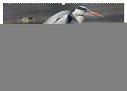 Heimische Tiere (Wandkalender 2024 DIN A2 quer), CALVENDO Monatskalender von SchnelleWelten,  SchnelleWelten