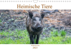 Heimische Tiere – Wildschweine (Wandkalender 2023 DIN A4 quer) von pixs:sell