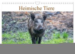 Heimische Tiere – Wildschweine (Wandkalender 2024 DIN A4 quer), CALVENDO Monatskalender von pixs:sell,  pixs:sell