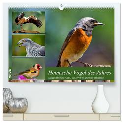 Heimische Vögel des Jahres (hochwertiger Premium Wandkalender 2024 DIN A2 quer), Kunstdruck in Hochglanz von Kleemann,  Claudia