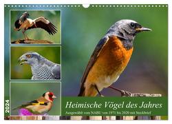 Heimische Vögel des Jahres (Wandkalender 2024 DIN A3 quer), CALVENDO Monatskalender von Kleemann,  Claudia