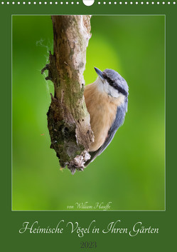 Heimische Vögel in Ihren Gärten (Wandkalender 2023 DIN A3 hoch) von Hauffe,  William