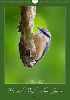 Heimische Vögel in Ihren Gärten (Wandkalender 2023 DIN A4 hoch) von Hauffe,  William