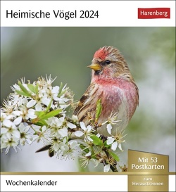 Heimische Vögel Postkartenkalender 2024