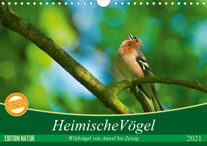 Heimische Vögel (Wandkalender 2021 DIN A4 quer) von Mooß,  Ralf