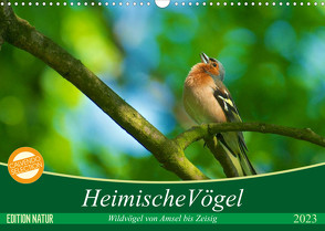 Heimische Vögel (Wandkalender 2023 DIN A3 quer) von Mooß,  Ralf