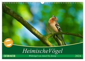 Heimische Vögel (Wandkalender 2024 DIN A3 quer), CALVENDO Monatskalender von Mooß,  Ralf