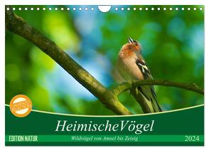 Heimische Vögel (Wandkalender 2024 DIN A4 quer), CALVENDO Monatskalender von Mooß,  Ralf