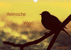 Heimische Vögel (Posterbuch DIN A4 quer) von Otte,  Claudia