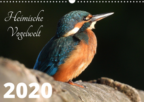 Heimische Vogelwelt – 2020 (Wandkalender 2020 DIN A3 quer) von Miadok,  Peter