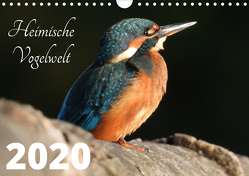Heimische Vogelwelt – 2021 (Wandkalender 2021 DIN A4 quer) von Miadok,  Peter