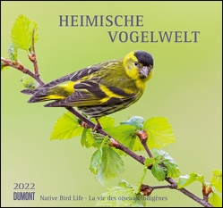 Heimische Vogelwelt 2022 – DUMONT Wandkalender – mit den wichtigsten Feiertagen – Format 38,0 x 35,5 cm