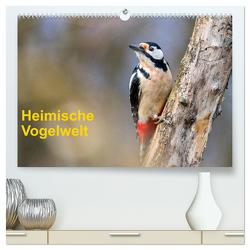 Heimische Vogelwelt (hochwertiger Premium Wandkalender 2024 DIN A2 quer), Kunstdruck in Hochglanz von Käfer,  Gerhard