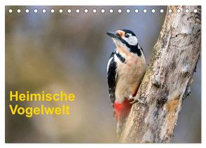 Heimische Vogelwelt (Tischkalender 2024 DIN A5 quer), CALVENDO Monatskalender von Käfer,  Gerhard