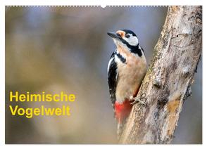 Heimische Vogelwelt (Wandkalender 2024 DIN A2 quer), CALVENDO Monatskalender von Käfer,  Gerhard