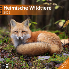 Heimische Wildtiere Kalender 2023 – 30×30