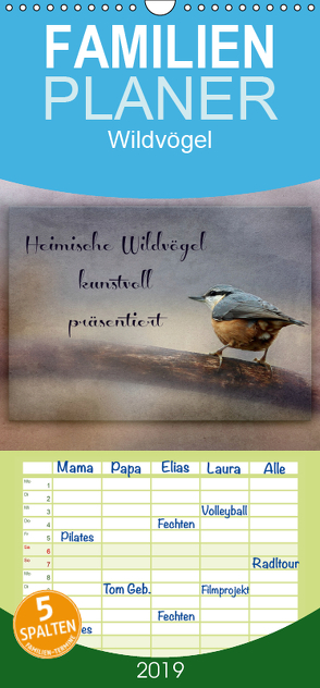 Heimische Wildvögel kunstvoll präsentiert – Familienplaner hoch (Wandkalender 2019 , 21 cm x 45 cm, hoch) von Hultsch,  Heike