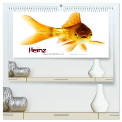 Heinz – Der Goldfisch (hochwertiger Premium Wandkalender 2024 DIN A2 quer), Kunstdruck in Hochglanz von Wehrle & Uwe Frank www.blackwhite.de,  Ralf