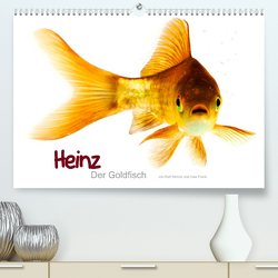 Heinz – Der Goldfisch (Premium, hochwertiger DIN A2 Wandkalender 2023, Kunstdruck in Hochglanz) von Wehrle & Uwe Frank www.blackwhite.de,  Ralf