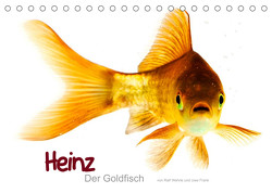 Heinz – Der Goldfisch (Tischkalender 2023 DIN A5 quer) von Wehrle & Uwe Frank www.blackwhite.de,  Ralf
