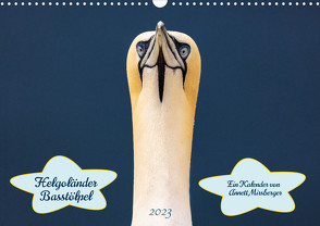Helgoländer Basstölpel 2023 (Wandkalender 2023 DIN A3 quer) von Mirsberger,  Annett