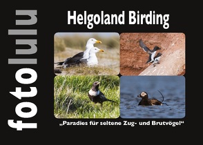 Helgoland Birding von fotolulu,  Sr.