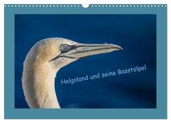 Helgoland und seine Basstölpel (Wandkalender 2024 DIN A3 quer), CALVENDO Monatskalender von von der Heyde,  Wiebke