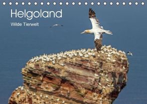 Helgoland – WIlde Tierwelt (Tischkalender immerwährend DIN A5 quer) von Malz,  Sandra