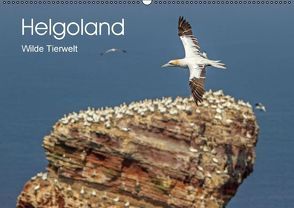 Helgoland – WIlde Tierwelt (Wandkalender immerwährend DIN A2 quer) von Malz,  Sandra