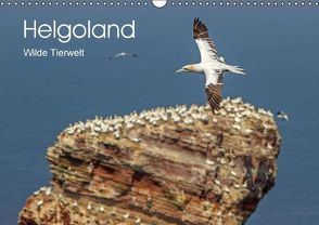 Helgoland – WIlde Tierwelt (Wandkalender immerwährend DIN A3 quer) von Malz,  Sandra