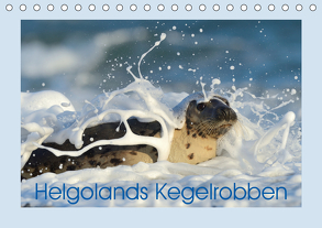 Helgolands Kegelrobben (Tischkalender 2020 DIN A5 quer) von Weiß,  Elmar