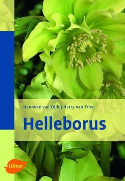 Helleborus von Dijk,  Hanneke van, Trier,  Harry van