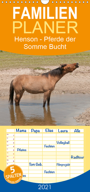 Henson – Pferde der Somme Bucht – Familienplaner hoch (Wandkalender 2021 , 21 cm x 45 cm, hoch) von Bölts,  Meike