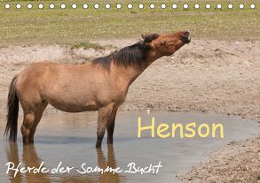 Henson – Pferde der Somme Bucht (Tischkalender 2019 DIN A5 quer) von Bölts,  Meike