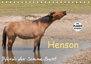 Henson – Pferde der Somme Bucht (Tischkalender 2019 DIN A5 quer) von Bölts,  Meike