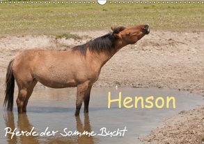 Henson – Pferde der Somme Bucht (Wandkalender 2018 DIN A3 quer) von Bölts,  Meike