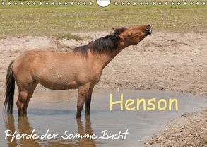 Henson – Pferde der Somme Bucht (Wandkalender 2018 DIN A4 quer) von Bölts,  Meike