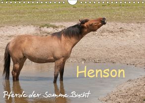 Henson – Pferde der Somme Bucht (Wandkalender 2019 DIN A4 quer) von Bölts,  Meike
