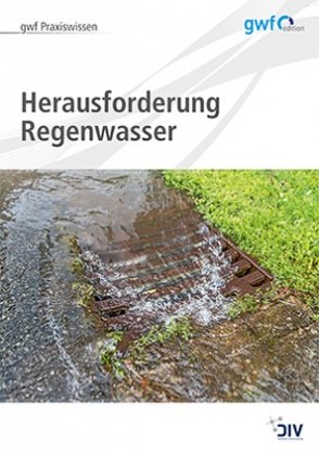 Herausforderung Regenwasser von Runge,  Hella