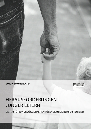 Herausforderungen junger Eltern. Unterstützungsmöglichkeiten für die Familie beim ersten Kind von Sommerland,  Emilia