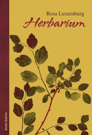 Herbarium von Luxemburg,  Rosa, Politt,  Holger, Wittich,  Evelin