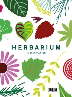 Herbarium von Hildebrand,  Caz