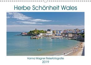 Herbe Schönheit Wales (Wandkalender 2019 DIN A3 quer) von Wagner,  Hanna
