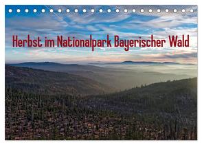 Herbst im Nationalpark Bayerischer Wald (Tischkalender 2024 DIN A5 quer), CALVENDO Monatskalender von Enders,  Borg