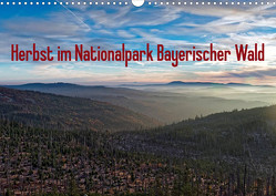 Herbst im Nationalpark Bayerischer Wald (Wandkalender 2023 DIN A3 quer) von Enders,  Borg