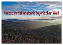 Herbst im Nationalpark Bayerischer Wald (Wandkalender 2024 DIN A2 quer), CALVENDO Monatskalender von Enders,  Borg