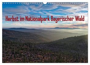 Herbst im Nationalpark Bayerischer Wald (Wandkalender 2024 DIN A3 quer), CALVENDO Monatskalender von Enders,  Borg